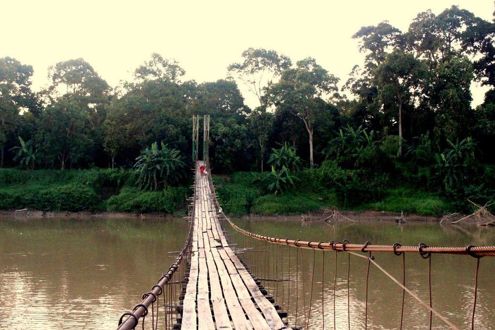 Pohon Balam, Hantarkan Aku Pulang