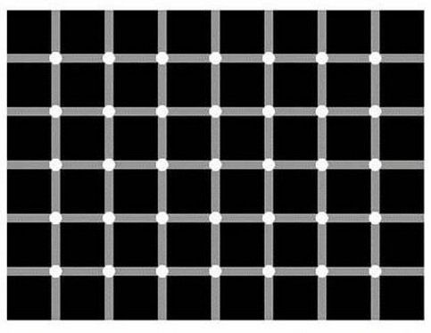 ilusi Hermann Grid