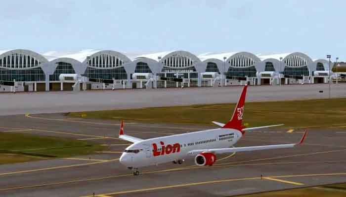 Lion Air~