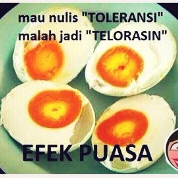 Telorasin toleransi