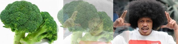 17 Meme Kocak Tentang Postingan Foto Mirip Artis. Tiba-tiba Jadi Banyak yang Mirip Dian Sastro! 45 Brokoliiii