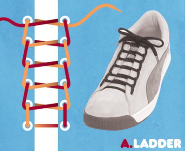 ladder.
