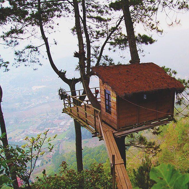 ini lho penampakan rumah kayunyaaaa