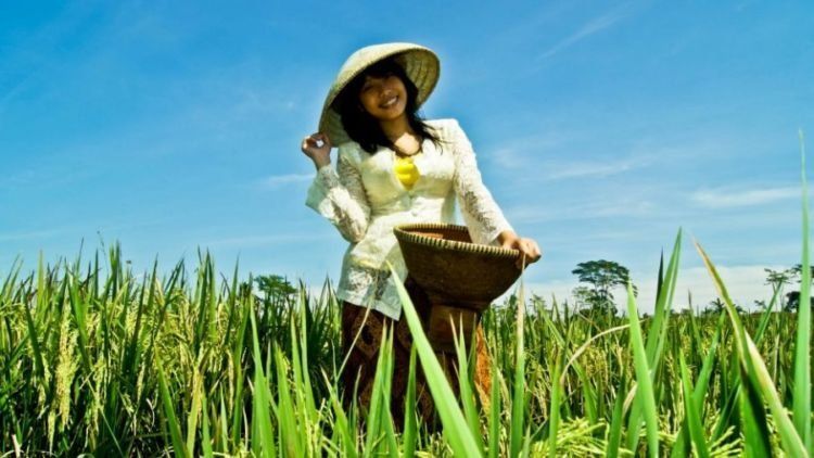 Jangan Malu Jadi Petani Muda, Nasib Kemakmuran Bangsa Juga Ditentukan Oleh Petani
