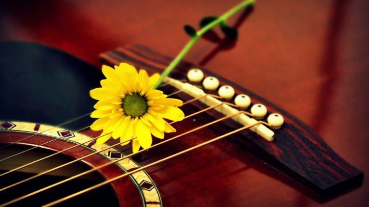 Karena Sebuah Lagu Tanpa REFF Bagai Pagi Tanpa Sinar Mentari.