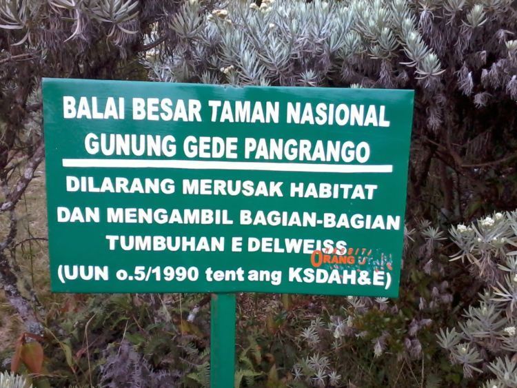 Taati aturan yang ada