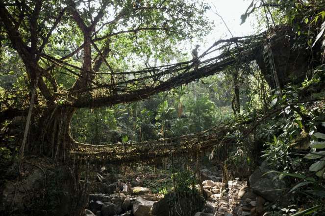 Selain kota Bogor, 7 Tempat Paling Basah di Dunia ini Akan jadi tempat Favorit Bagi Para Pecinta Hujan