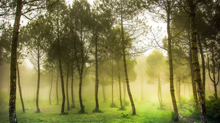 Kamu Gak Keren Kalo Belum Nyoba Tempat Wisata Populer di Lembang Bandung