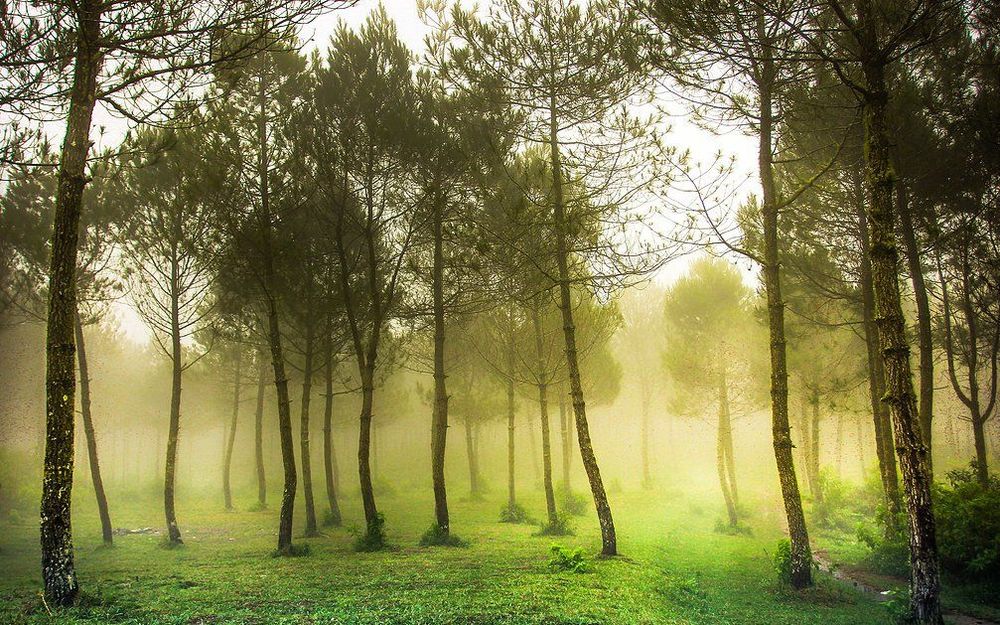 Kamu Gak Keren Kalo Belum Nyoba Tempat Wisata Populer di Lembang Bandung