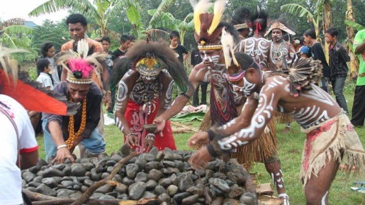 Upacara Bakar Batu dari Papua, Unik dan Menarik