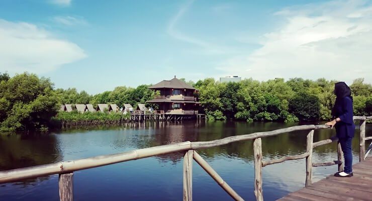 Hutan-hutan Mangrove yang Bisa Jadi Destinasi Wisatamu, Yuk Intip! 1 Hutan-hutan Mangrove yang Bisa Jadi Destinasi Wisatamu, Yuk Intip!
