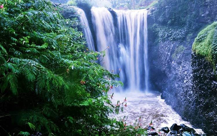 Kamu Gak Keren Kalo Belum Nyoba Tempat Wisata Populer di Lembang Bandung
