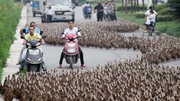 Kecelakaan di Jalan Memang Mengenaskan. Tapi Kalau 7 Kejadian Ajaib Ini Terjadi, Apa Nggak Mencengangkan?