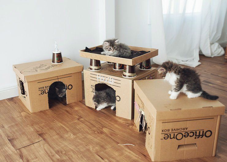 Cara Membuat Rumah Untuk Kucing Dari Kardus  Cahaya Rumahku