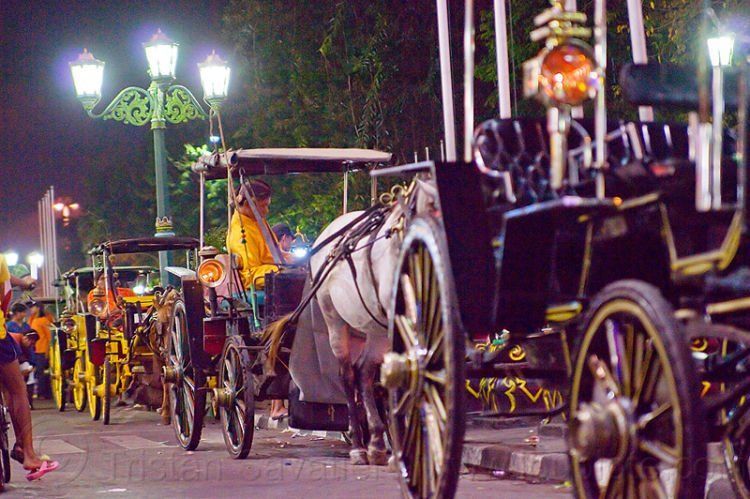 Tak cuma di stasiun, delman pun siap menyambutmu dengan ramah.