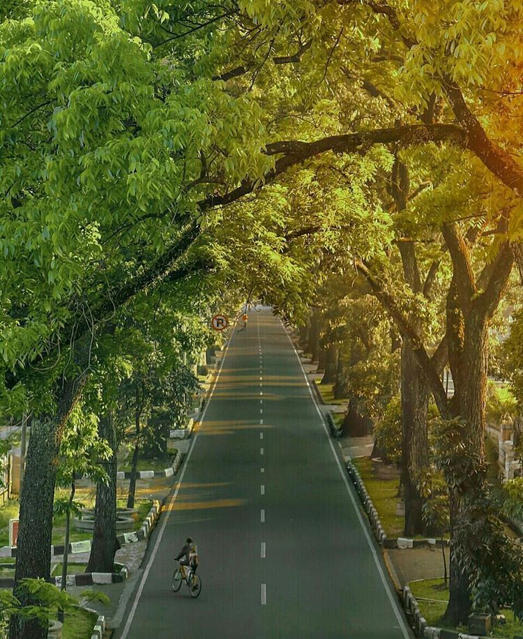 Jalan Cipaganti siang hari