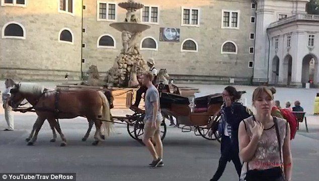 nih yang di Salzburg