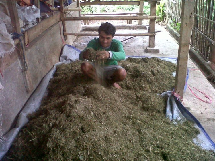 budak angon
