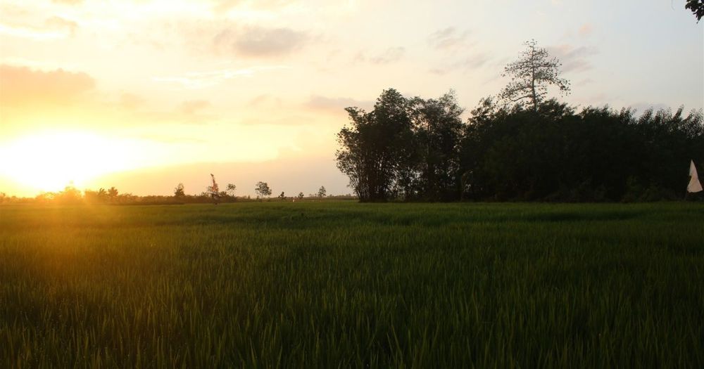 Selain Ngapak dan Inyong, 5 Alasan Ini Mengharuskanmu 