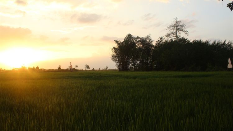 Selain Ngapak dan Inyong, 5 Alasan Ini Mengharuskanmu 