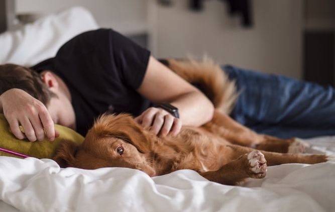 7 Kebiasaan Buruk Sebelum Tidur yang Harus Dihindari. Tubuhmu yang Merugi