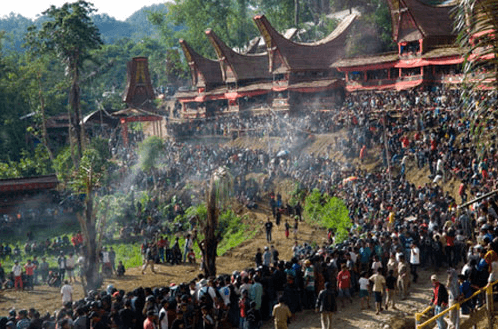 Kamu Traveler? Masukin Dong Toraja Ke List Destinasimu!