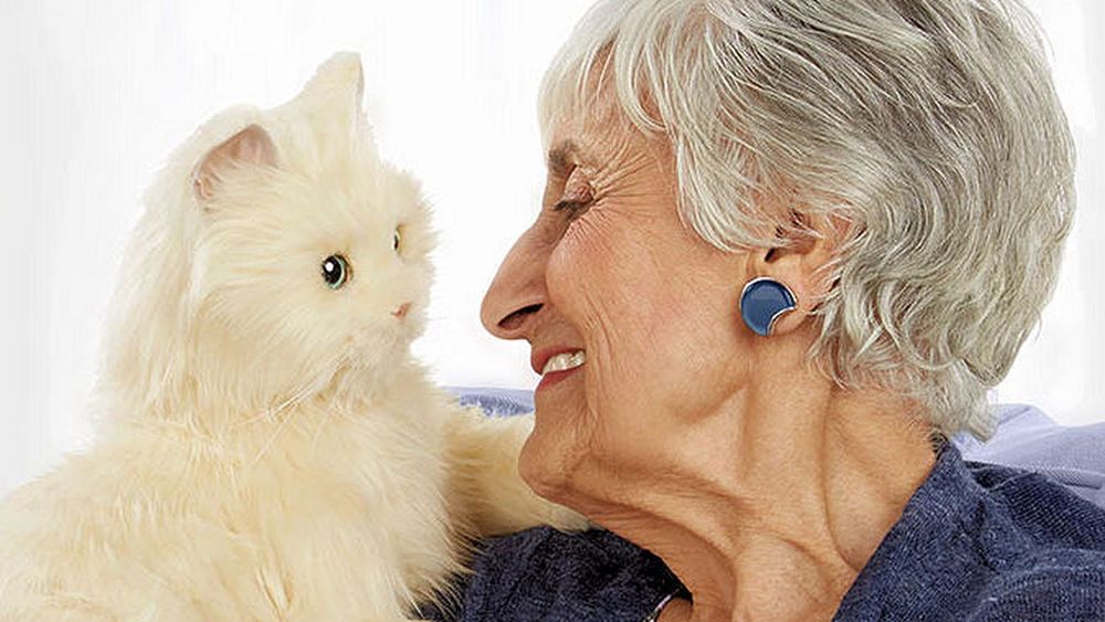 Kamu Penyayang Kucing? 6 Hal Ini Dapat Dijadikan Pelajaran Ketika Kamu Memelihara Kucing