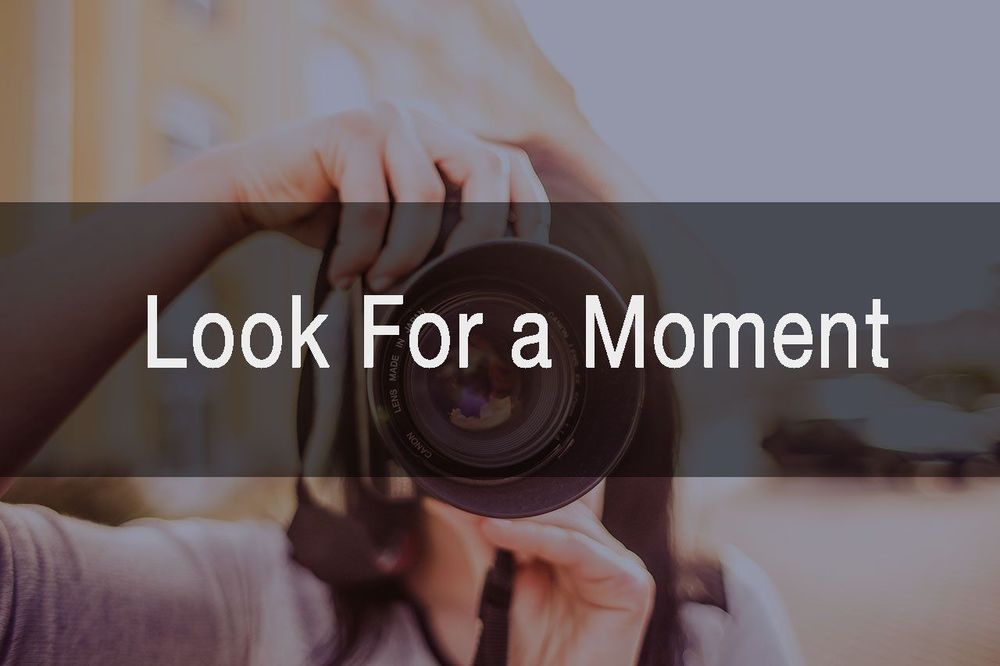 Suka Motret dan Fotografi? Ini 13 Alasan Kamu Harus Bangga Dengan Hobimu!