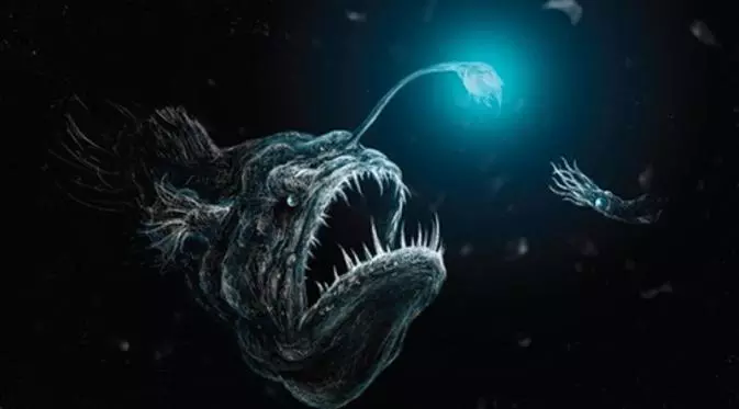 Namanya Anglerfish~