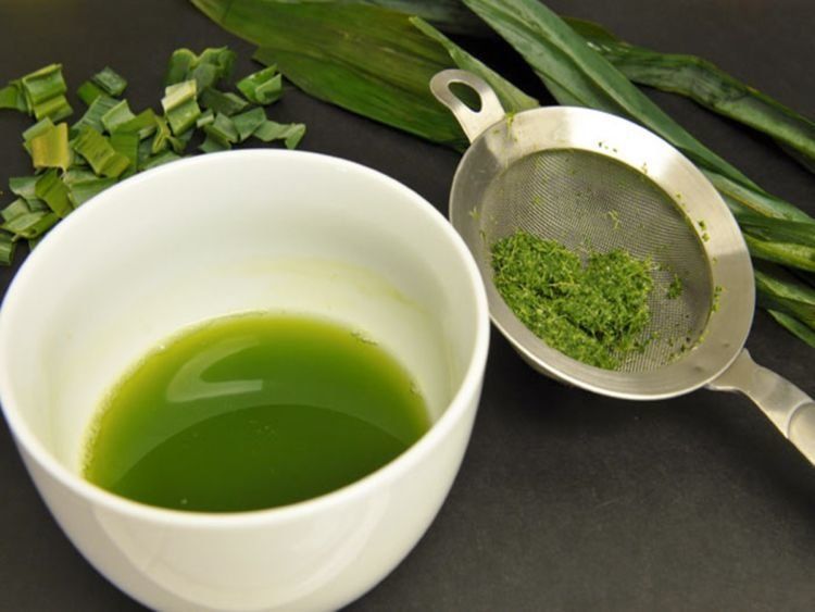 daun pandan.
