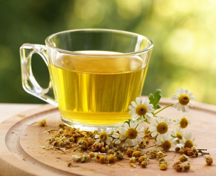ekstrak chamomile