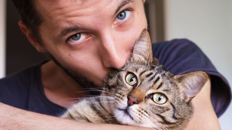 Kamu Penyayang Kucing? 6 Hal Ini Dapat Dijadikan Pelajaran Ketika Kamu Memelihara Kucing