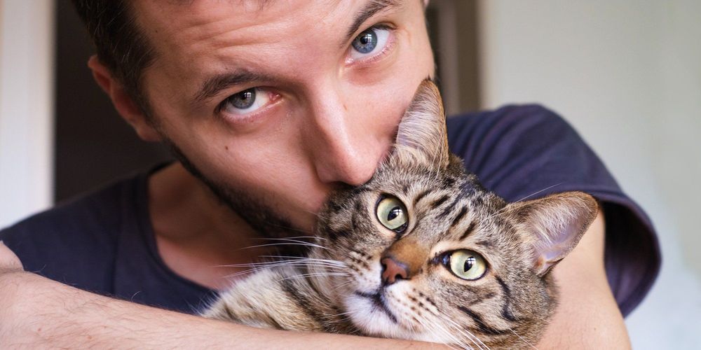 Kamu Penyayang Kucing? 6 Hal Ini Dapat Dijadikan Pelajaran Ketika Kamu Memelihara Kucing