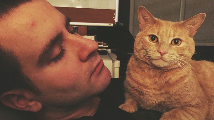 7 Hal Ini Hanya Bisa Dirasakan sama Cowok Jomblo Pecinta Kucing. Siapa yang Kayak Gini?