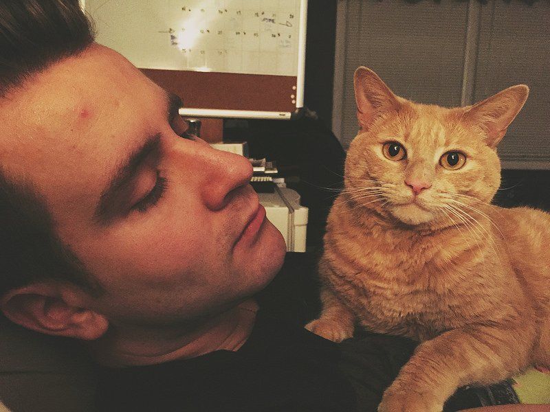 7 Hal Ini Hanya Bisa Dirasakan sama Cowok Jomblo Pecinta Kucing. Siapa yang Kayak Gini?