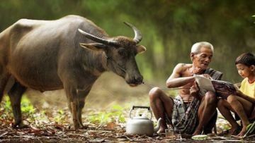 Anak sebagai Dimensi Kehidupan