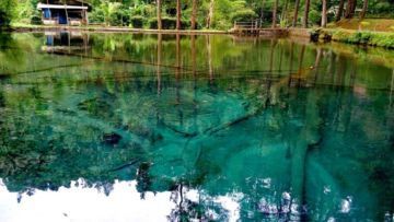 Habiskan Akhir Pekan di Wisata Rambut Monte, Blitar. Cocok Bikin Liburanmu Makin Cetar!