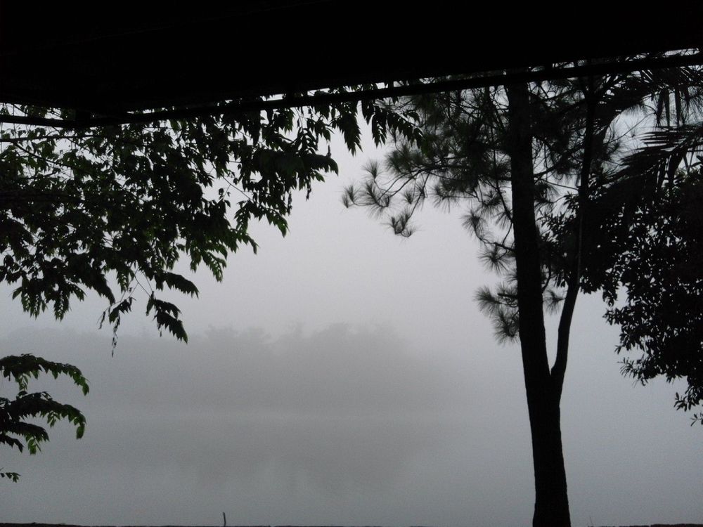 Danau Kemuning, Surga Tersembunyi di Sudut Kabupaten Bogor yang Harus Wajib Kunjungi