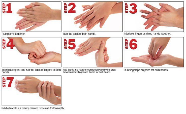 7 Langkah Mencuci Tangan yang Benar Menurut WHO. Apa Kamu Tahu?