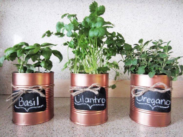 jadi pot
