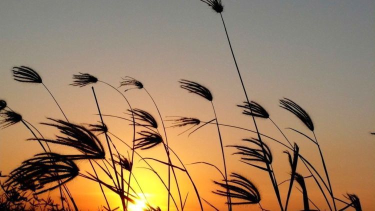 Senja Itu Masih Sama, Tanpa Kamu
