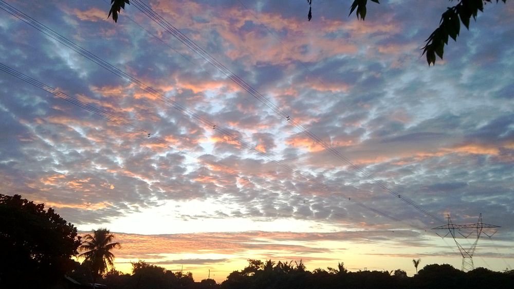 Danau Kemuning, Surga Tersembunyi di Sudut Kabupaten Bogor yang Harus Wajib Kunjungi