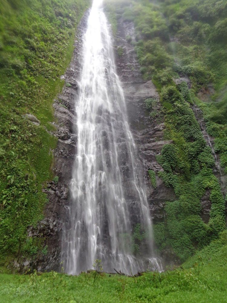 Jember Juga Punya Surga Tersembunyi. Wisata Ini Indah dan Mempesona