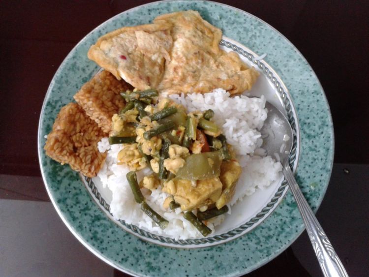 sayur dan tahu-tempe.