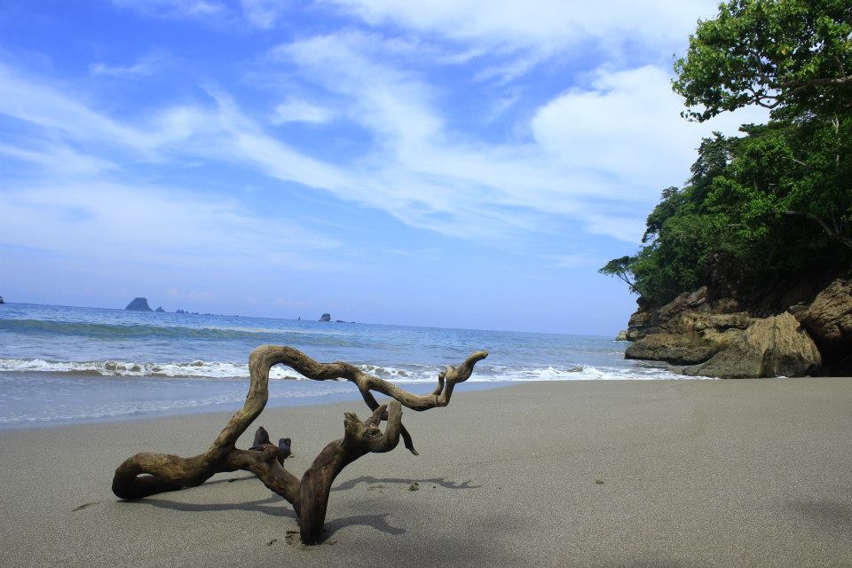 Jember Juga Punya Surga Tersembunyi. Wisata Ini Indah dan Mempesona