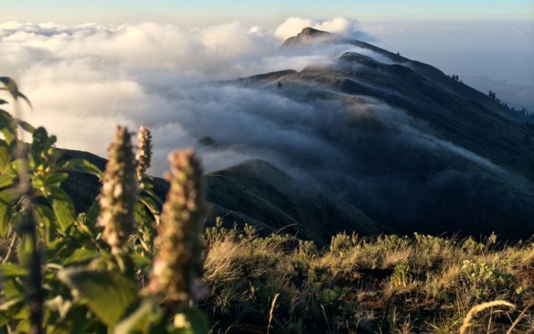 Gunung Tambora di Bima