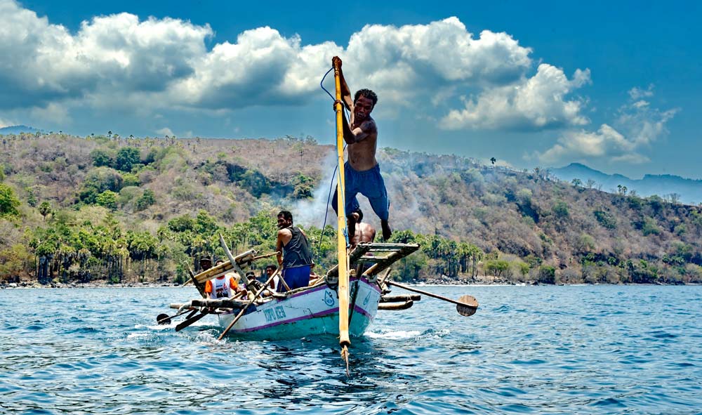 Tradisi Berburu Paus di Lamalera, NTT Menuai Pro-Kontra. Ritual Berbahaya yang Hingga Kini Masih Dijaga