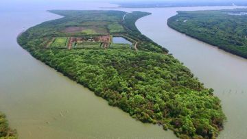 Wow, Ada Pulau Muncul Setelah Bencana Lumpur Lapindo. Tempat Indah Ini Bernama Pulau Sarinah!