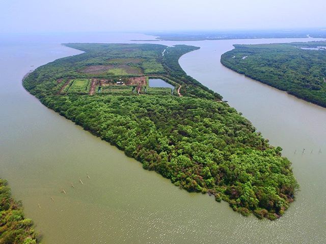 Wow, Ada Pulau Muncul Setelah Bencana Lumpur Lapindo. Tempat Indah Ini Bernama Pulau Sarinah!