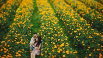5 Taman Bunga di Indonesia Ini Sempurna untuk Latar Foto Pre-Wedding. Nggak Usah Jauh ke Luar Negeri
